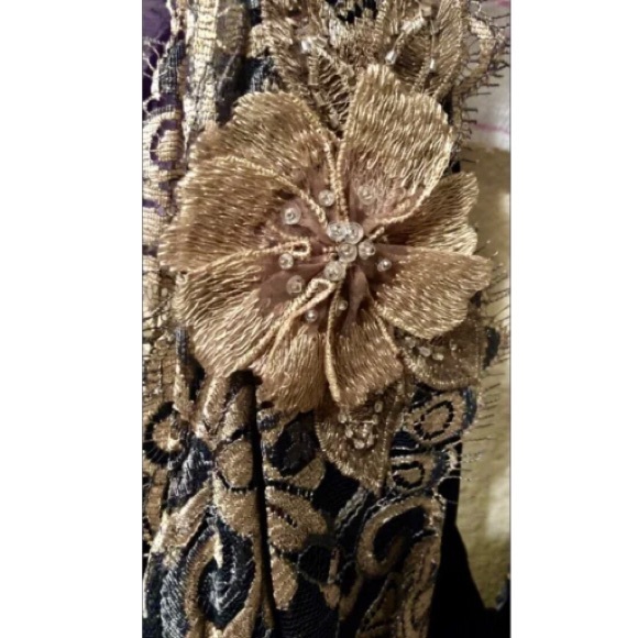 $224 BLACK LACE & GOLD SILK BROCADE DRESS NEW - Picture 6 of 8